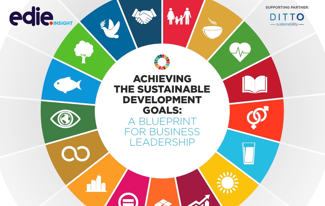 Report: Achieving The Sustainable Development Goals.